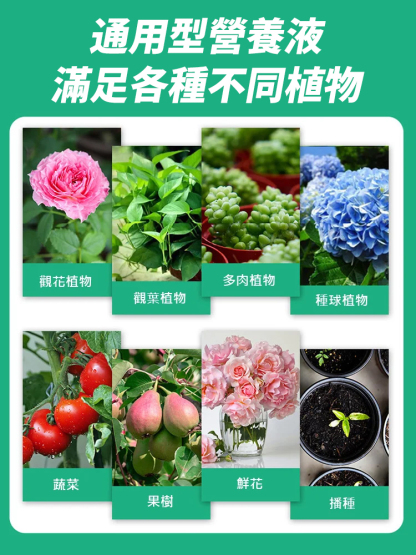 【萬物復活】通用型植物花復活液