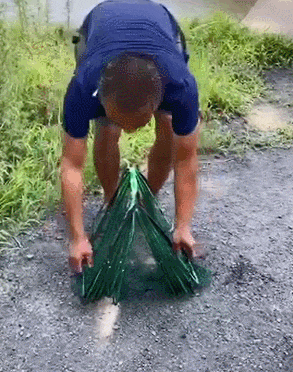 1630385461310064.gif