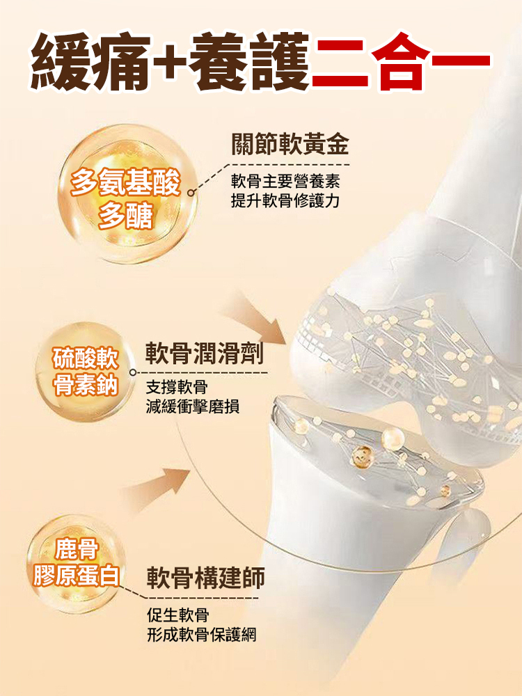 五毒追風保健膏頸肩腰腿