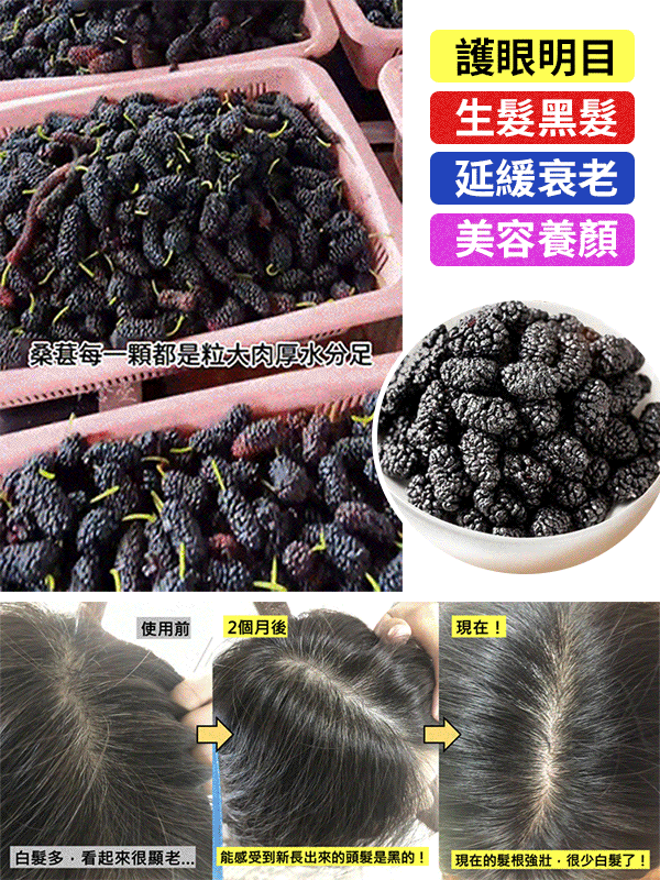 【皇室御用補品】天然野桑葚果