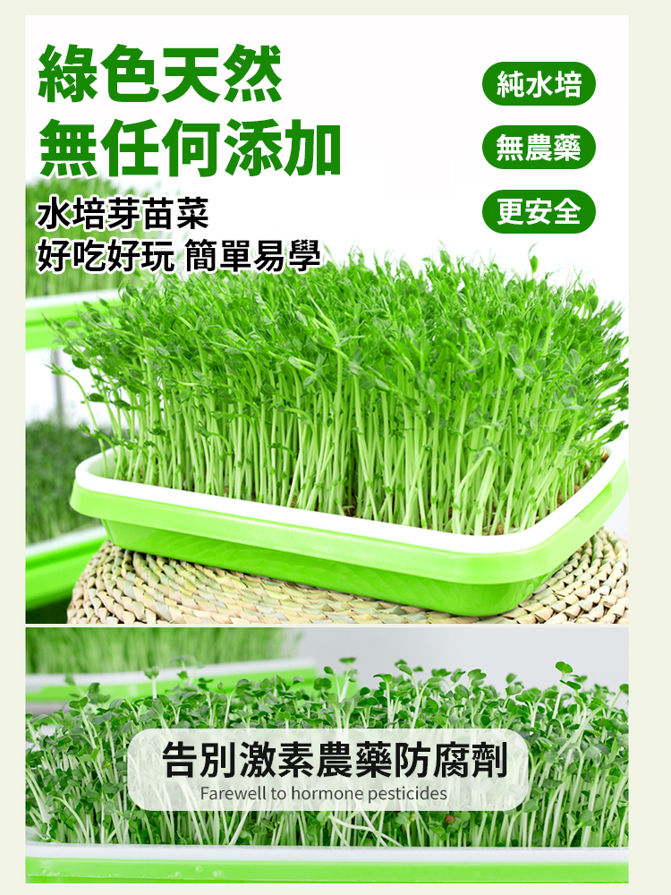 【種菜神器】水培育苗盤