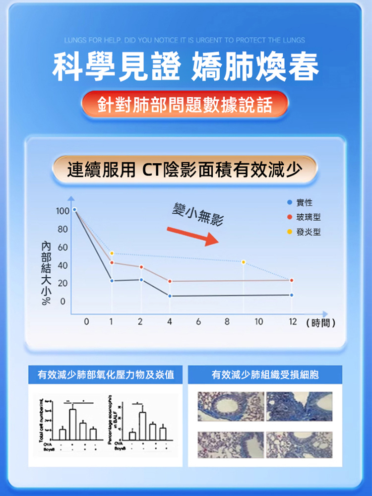 養肺清肺結人參百合玉竹羅漢果片