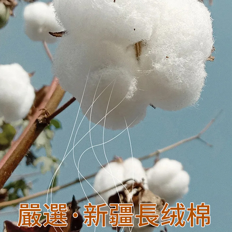 時尚減齡褲套裝