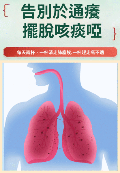 【咽喉伴侶】羅漢果胖大海雪梨茶