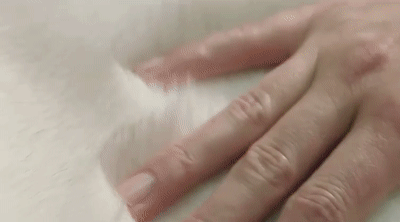 09.gif
