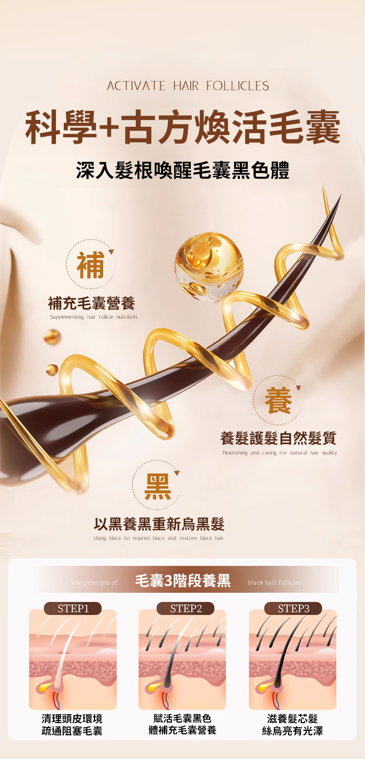 翻译件-SL-黑灵芝人参洗发水-1266651-系统_21.jpg