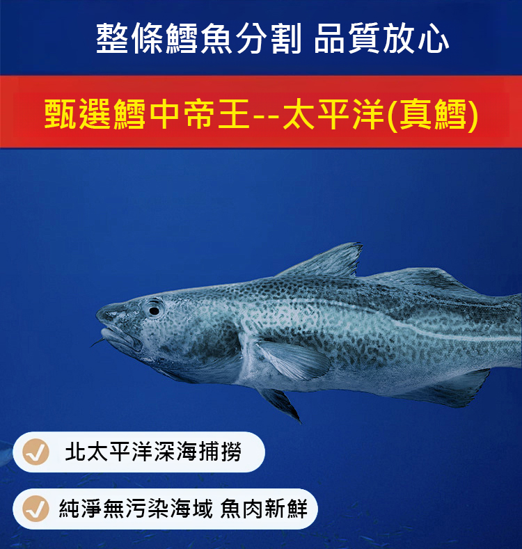 翻译件-SL-手撕即食鳕鱼片-1234522-系统_04.jpg
