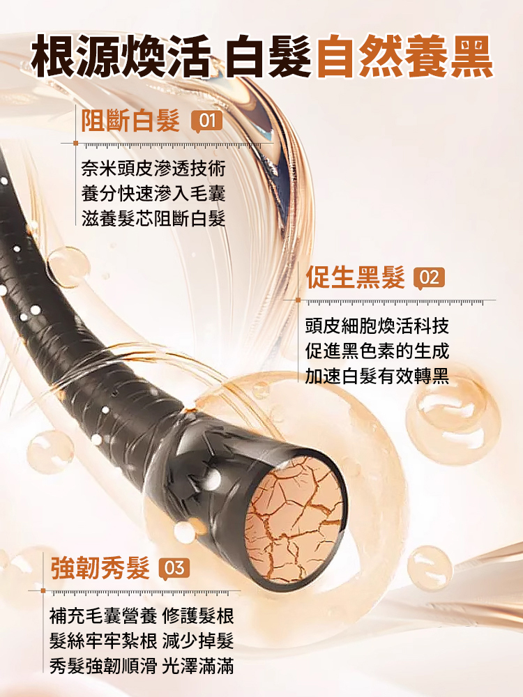 【一次變黑】人參精粹洗髮精
