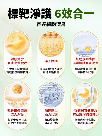 護腸胃石斛砂仁顆粒