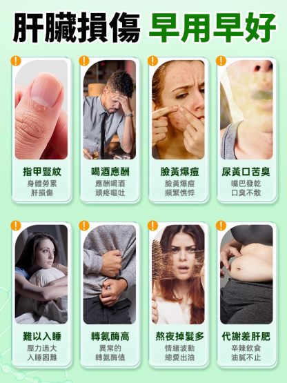 葛根靈芝鹿肝片