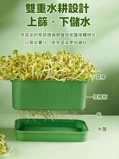 發芽專用種植盆