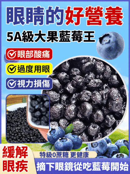 無添加天然野藍莓乾