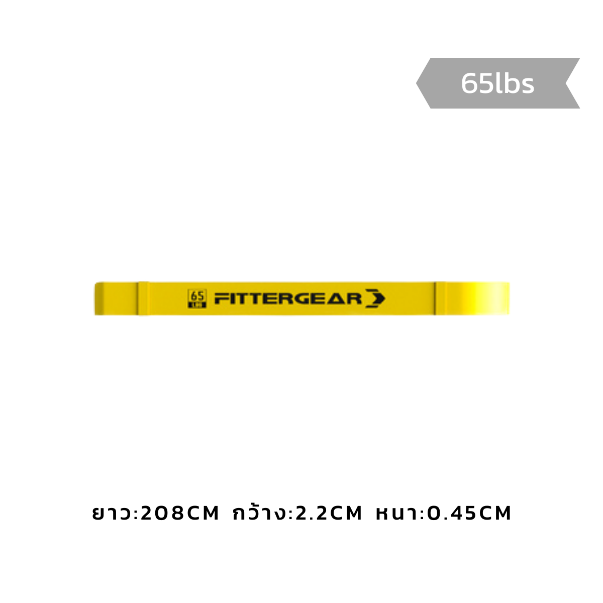 FITTERGEAR PRO BANDS ยางยืดต้านแรงดึง