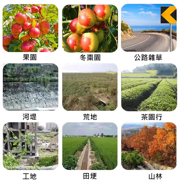 【植物生長高手】除草專家