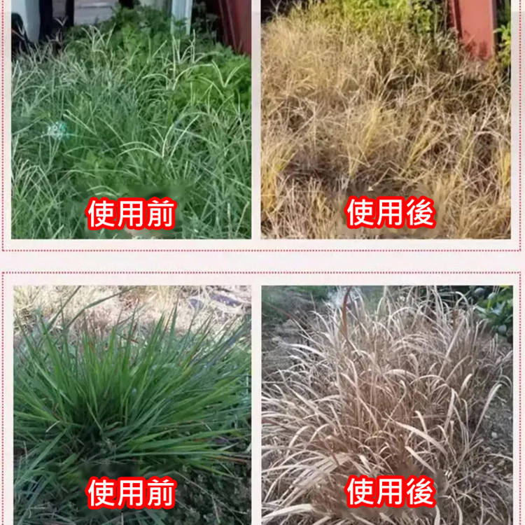 【植物生長高手】除草專家