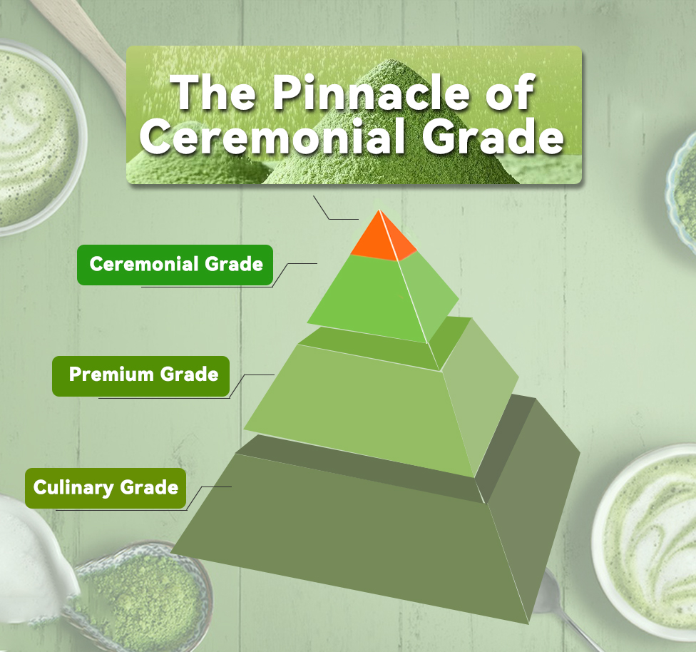 Culinary Grade Matcha Green Tea Powder 20g-USDA/EU Organic Certified