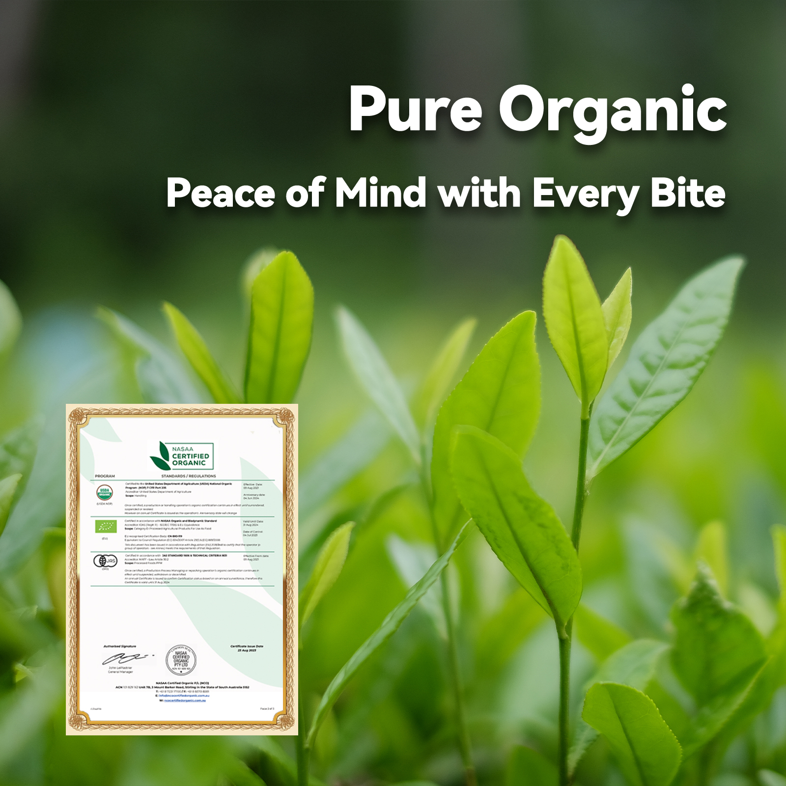 Culinary Grade Matcha Green Tea Powder 20g-USDA/EU Organic Certified