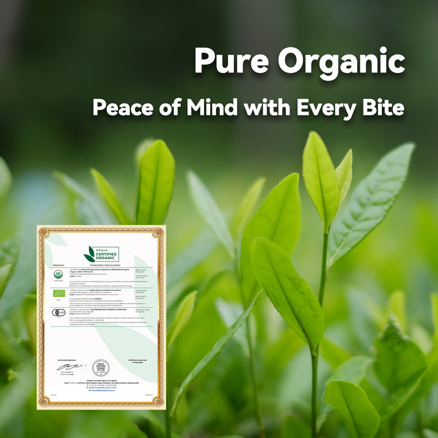 Culinary Grade Matcha Green Tea Powder 20g-USDA/EU Organic Certified