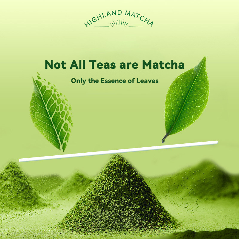 Culinary Grade Matcha Green Tea Powder 20g-USDA/EU Organic Certified