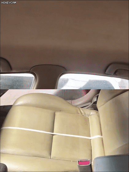 11.gif