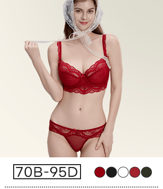 {"default":"2025 Christmas VEIMIA Sexy Lace Bra & Panty Set Sheer French Style Design"}
