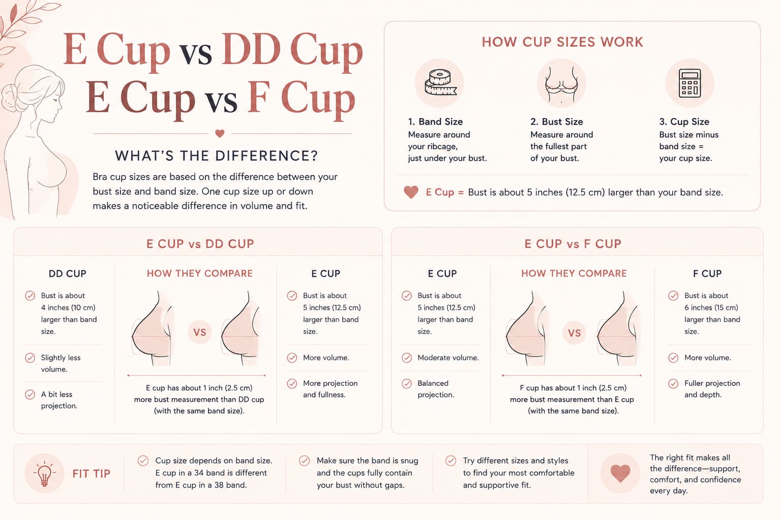 E Cup vs DD Cup / E Cup vs F Cup: What’s the Difference?