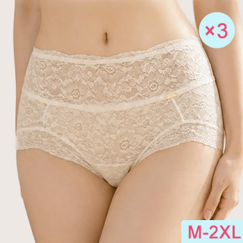 Lace Seamless Panties VEIMIA