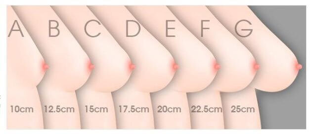 VEIMIA Bra cup size chart A to G with bust difference for cup bra and bra cup size guide