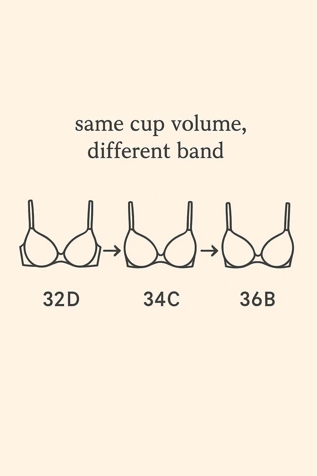 Bra sizes explained with 34, 36, 75, and 80 size conversion chart