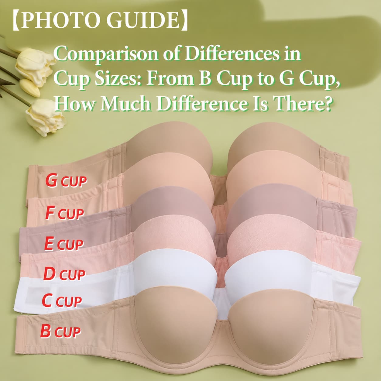 Bra Cup Size Guide: B, C, D, DD/E, F & G Cups Explained