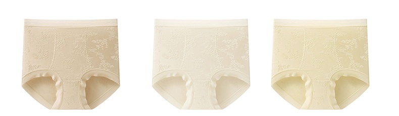 Cloud-like Always Fresh Seamless Jacquard High Waist Panties 3 Different Colors Veimia