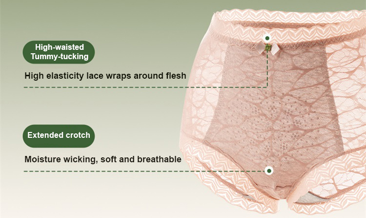 High Waisted Lace Underwear Breathable Soft Cotton Crotch Plus Size Brief VEIMIA