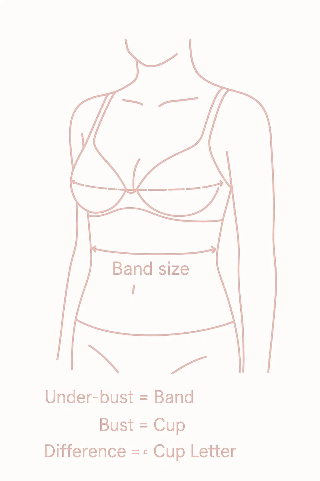 VEIMIA How to measure your bust for correct bra size chart and bra cup size