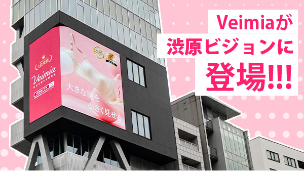 VEIMIA How to Avoid Fake Ads and Shop Safely in Singapore & Malaysia