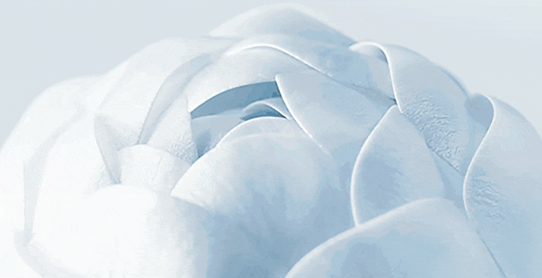 Seamless Bra-Free Camisole - Cold Touch Fabric & Natural Camellia Aroma VEIMIA