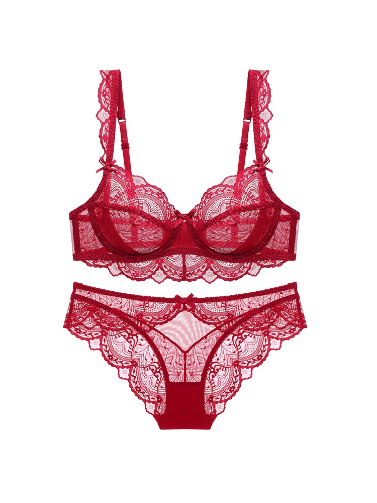 Sexy Lace Bra & Panties Sets Sheer French Style Designs, Ultra-Thin & Slimming For Woman VEIMIA