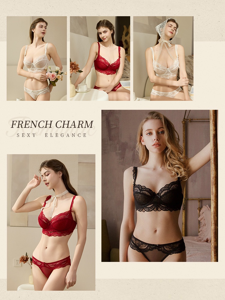 Sexy Lace Bras & Panties Sets Sheer French Style Designs, Ultra-Thin & Slimming For Women VEIMIA