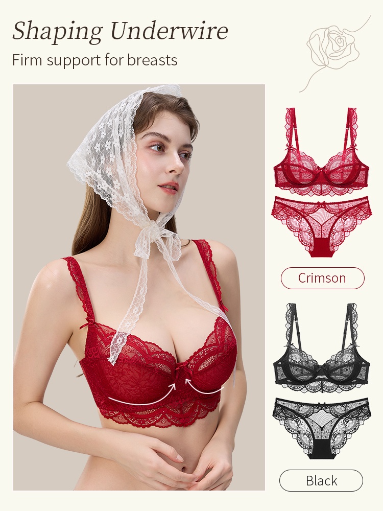 Sexy Lace Bras & Panties Set Sheer French Style Design, Ultra-Thin & Slimming For Woman VEIMIA