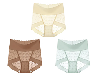 {"default":"3 Pack comfort sexy lace panties for women Veimia"}
