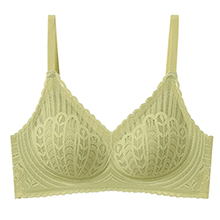 {"default":"Breathable lace puch up bra at the lowest price Veimia"}
