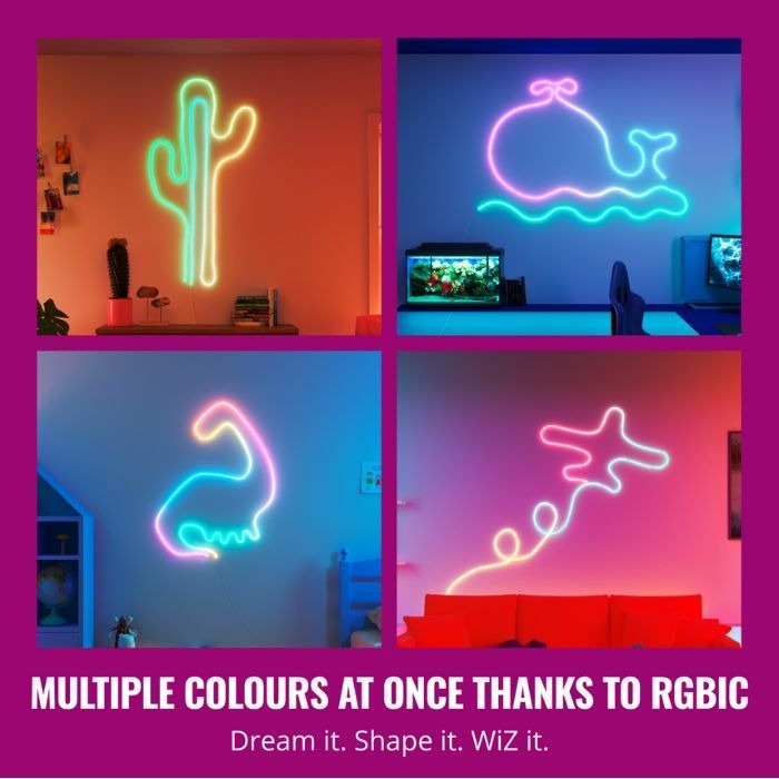 WiZ Neon RGBIC LED strip 5M Type-G 智能霓虹燈帶5米 (連火牛)