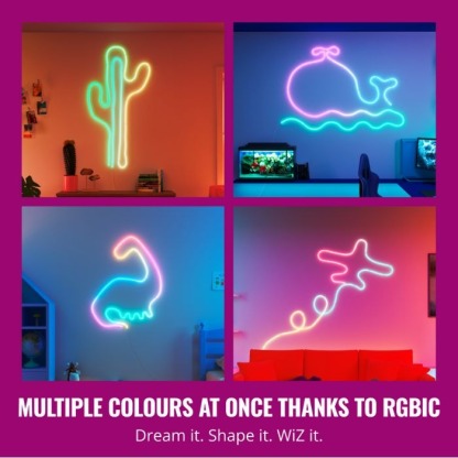 WiZ Neon RGBIC LED strip 5M Type-G 智能霓虹燈帶5米 (連火牛)