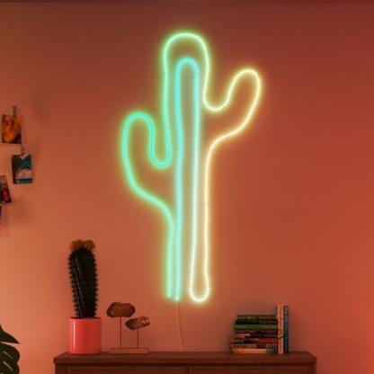 WiZ Neon RGBIC LED strip 5M Type-G 智能霓虹燈帶5米 (連火牛)