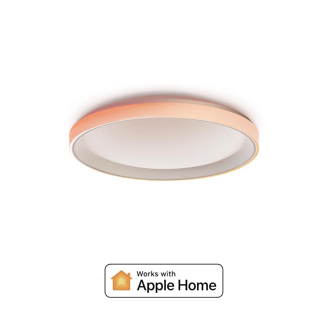 Aqara Ceiling Light T1 32W RGB 智能黃白光彩色吸頂燈 (Matter)