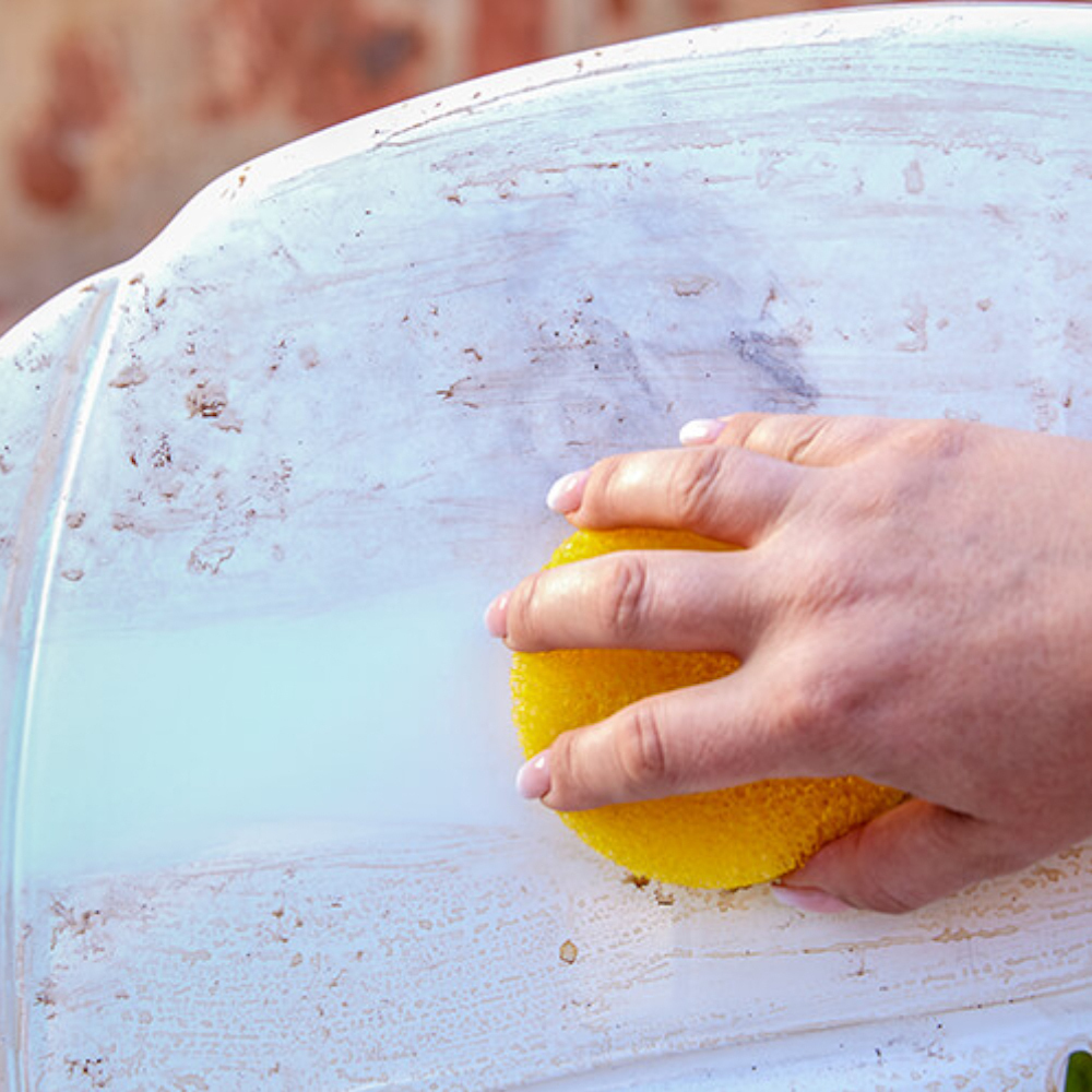 法國 Shadazzle🇫🇷｜🌳純天然萬能清潔膏🧼🫧(薰衣草🪻/檸檬🍋) 