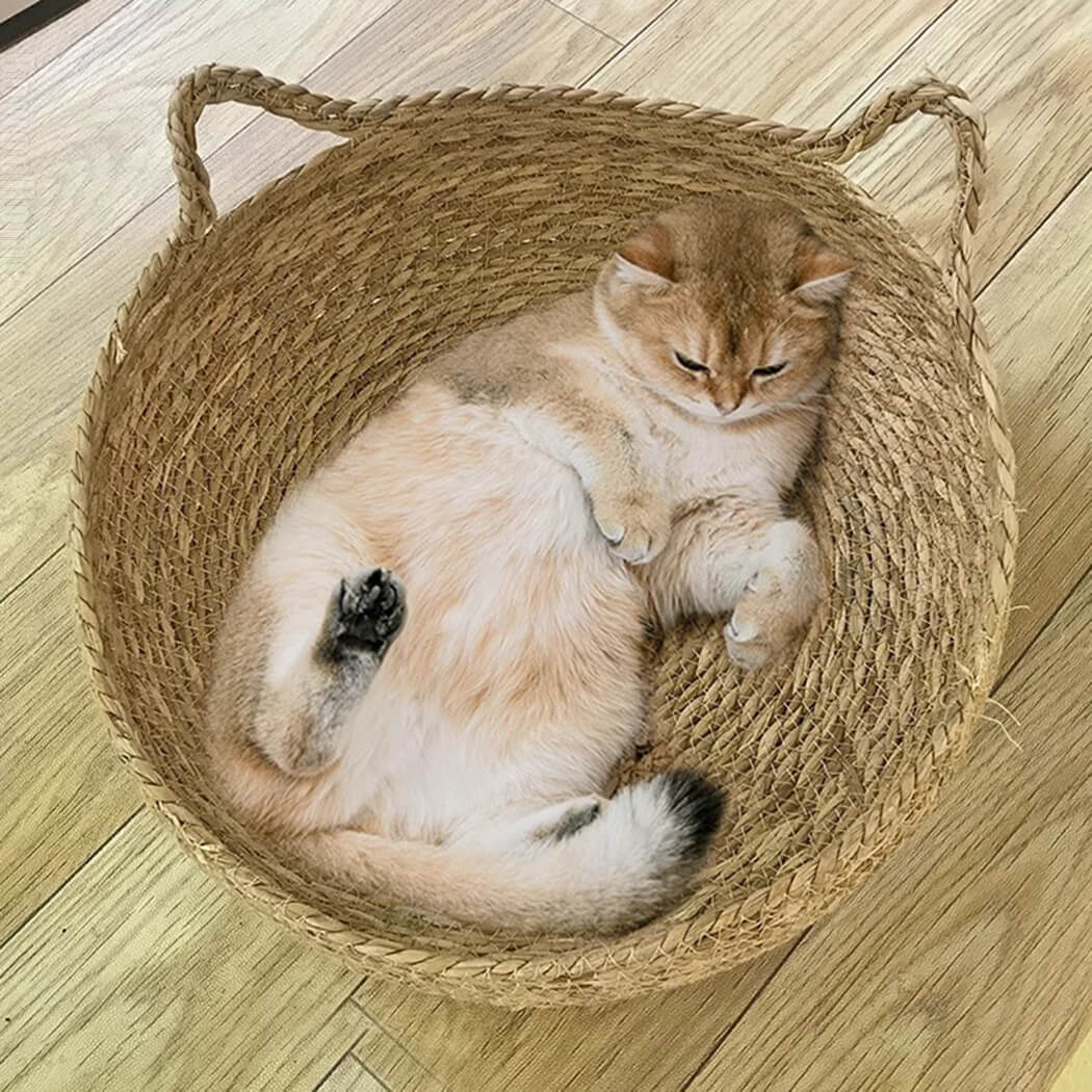 BowooHome ペットベッド 猫ベッド 犬ベッド 中型犬 小型犬 猫犬兼用 ふわふわ ペット用品 室内用 可愛い 猫 夏用 寝床 ペットクッション カワイイ