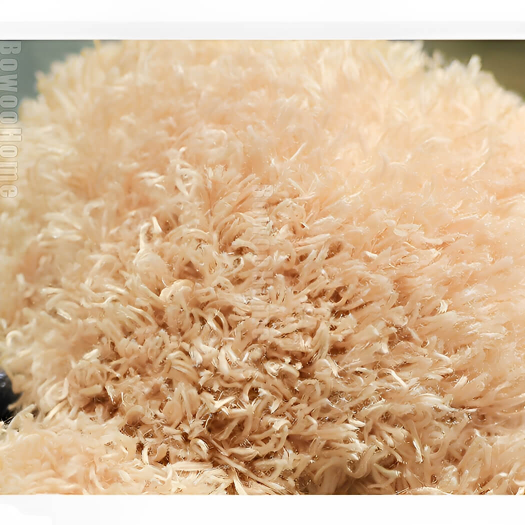 BowooHome ぬいぐるみ いぬ  トイプードル ふわふわ 可愛い 本物そっくり 犬 縫い包み 子供 彼氏 彼女 家族 誕生日 記念日 プレゼント ギフト お祝い 贈り物