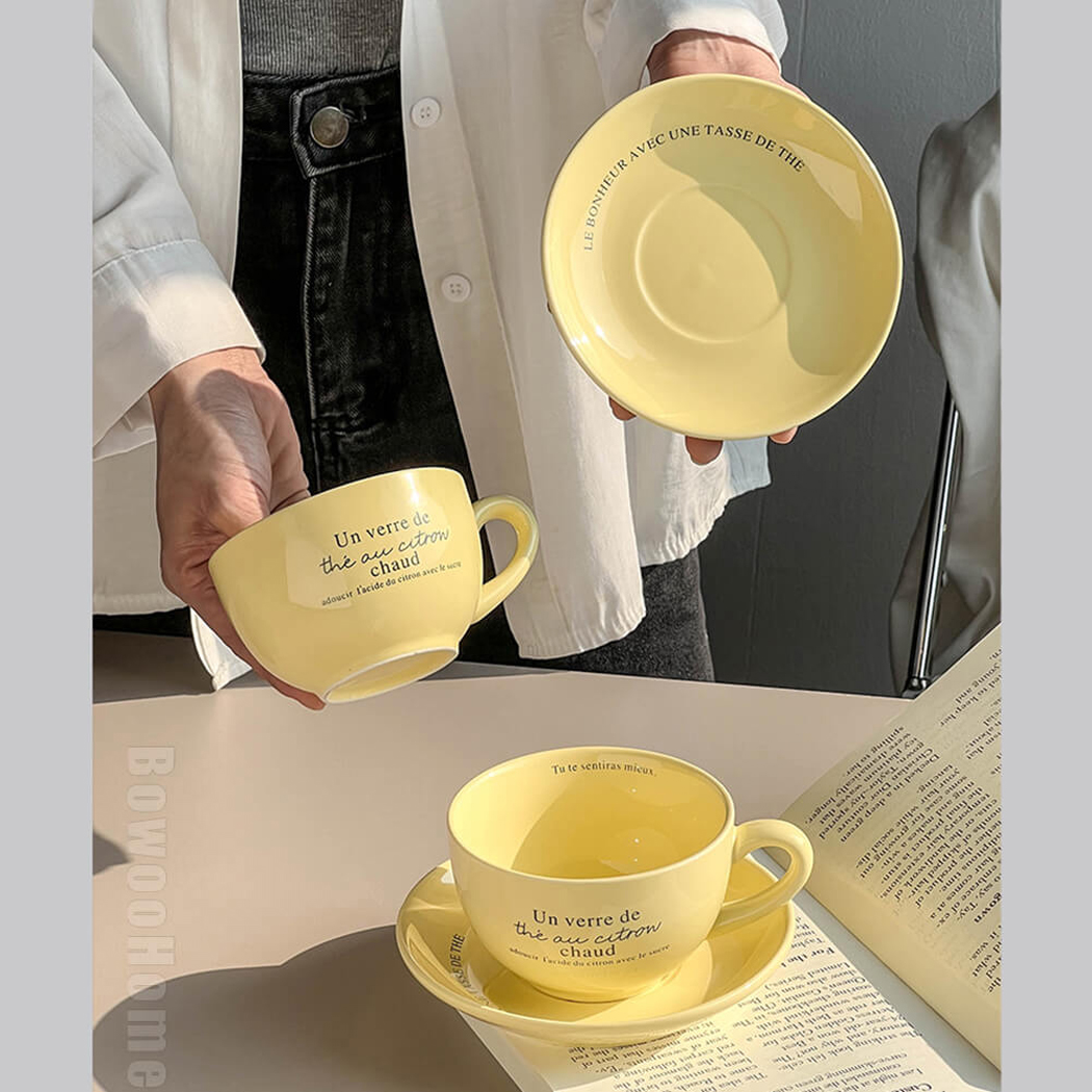 BowooHome マグカップ コーヒーカップ オシャレ シンプル カップ お手入れ簡単 ティーカップ 食洗器可 Coffee Cup 磁器 耐熱 耐冷