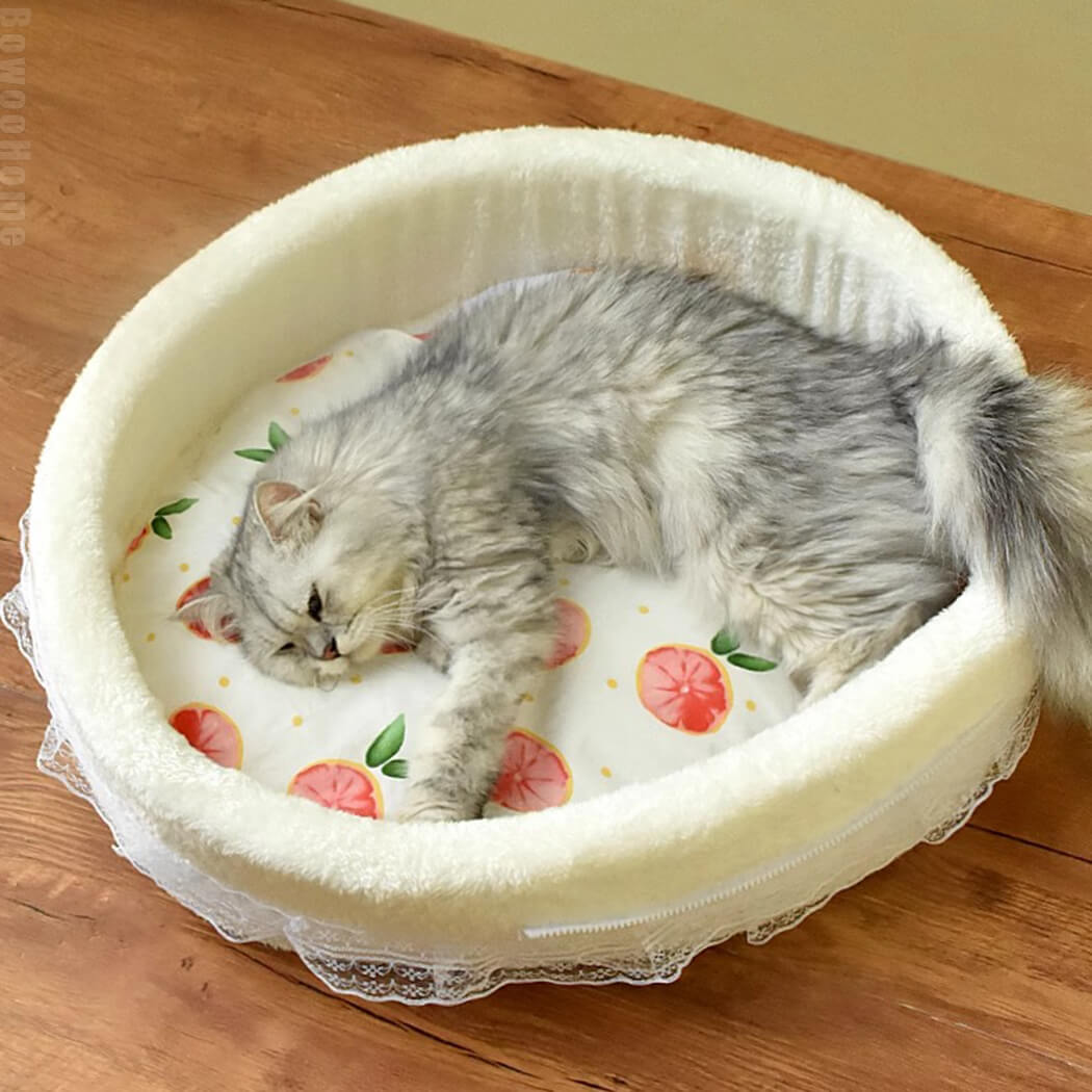 BowooHome ペットハウス 猫犬兼用 ペットベッド 犬ハウス 猫ハウス 室内用 可愛い ペット用品 中型犬 小型犬 寝床 四季通用 猫 カワイイ