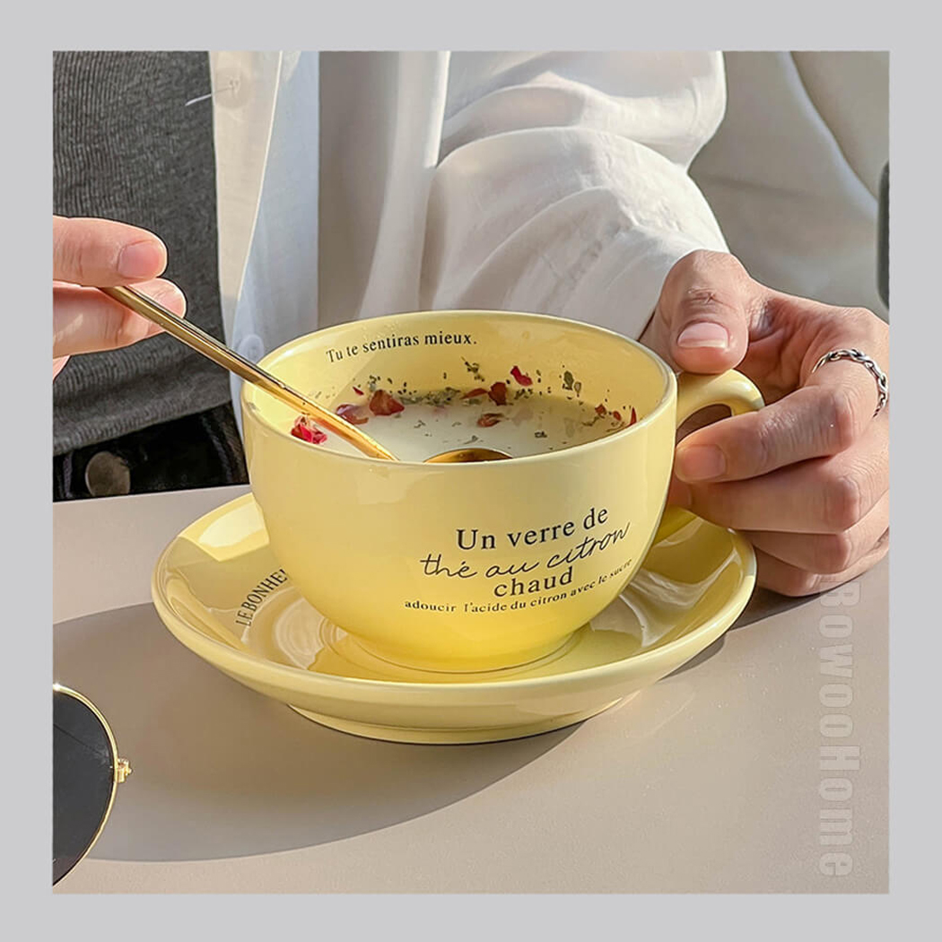 BowooHome マグカップ コーヒーカップ オシャレ シンプル カップ お手入れ簡単 ティーカップ 食洗器可 Coffee Cup 磁器 耐熱 耐冷